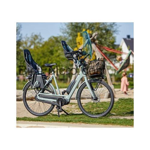 Gazelle Bloom scheda tecnica e recensioni